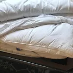 17 *